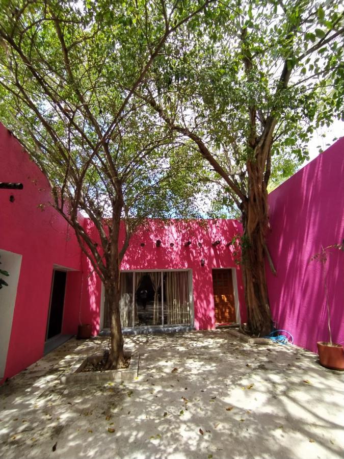Guest house Casa Isabella
