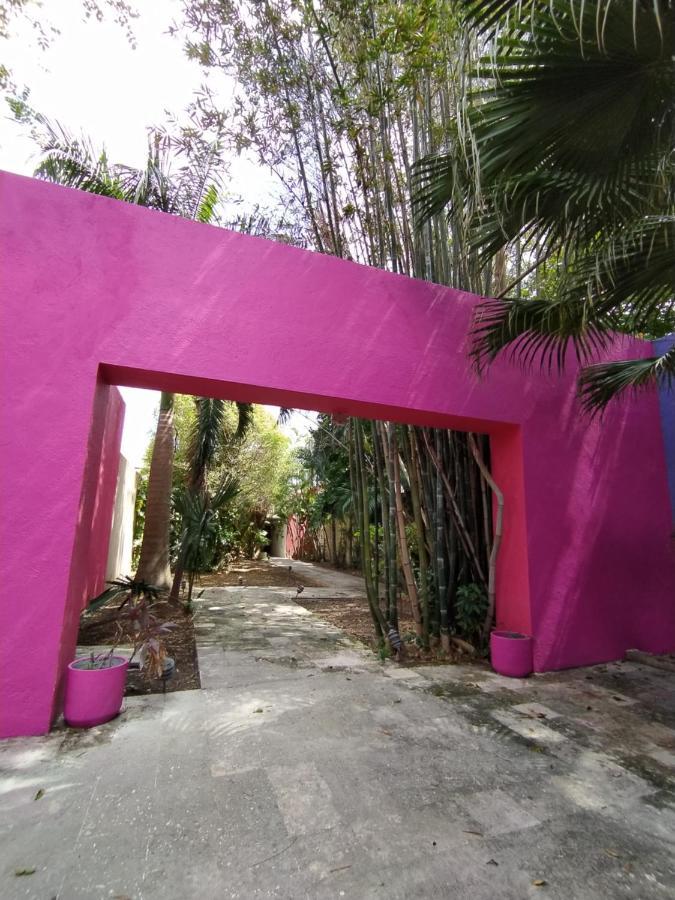 Casa Isabella Guest house Cozumel